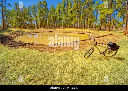 Bicicletta parcheggiata da Dry Lake Tank, Mingus Mountain vicino a Jerome, Arizona, Stati Uniti Foto Stock