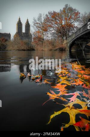 Archetto romantico Ponte sopra il lago di Central Park di New York in autunno con edifici di Manhattan in background e caduta foglie in primo piano Foto Stock