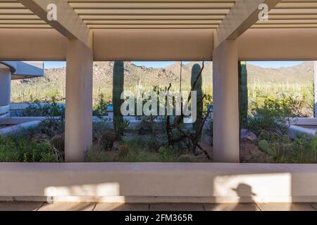 Centro visitatori del parco con informazioni ed esposizioni nel distretto di Tucson Mountain del Parco Nazionale di Saguaro, Tucson Mountain District, Arizona, Stati Uniti Foto Stock