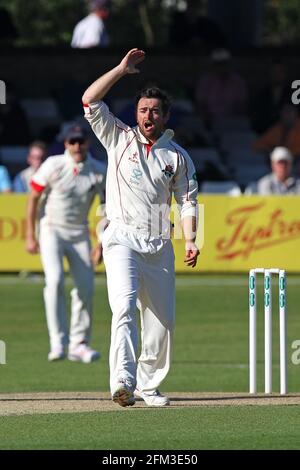 Stephen Parry of Lancashire con un appello per un wicket durante Essex CCC vs Lancashire CCC, Specsaver County Championship Division 1 Cricket al C Foto Stock