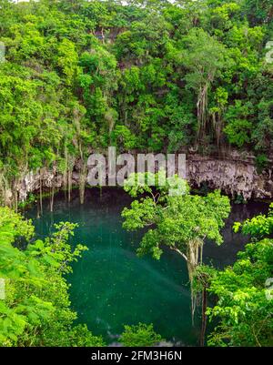 Un piccolo lago in un parco pubblico circondato da alti alberi verdi. Vista dall'alto della Repubblica Dominicana. Foto Stock