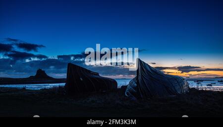 Castello di Lindisfarne costruito dal re Enrico VIII per proteggere l'ancoraggio della flotta nel porto di Santa Isola. Il Castello è costruito su un affioramento vulcanico e. Foto Stock