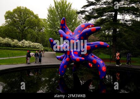 New York City, New York, Stati Uniti. 5 maggio 2021. I visitatori dei Giardini Botanici di New York nel Bronx potranno ammirare la scultura "i want to Fly to the Universe" (2020) di Yayoi Kusama, che fa parte della mostra "Kusama: Cosmic Infinity" attualmente in mostra sui terreni fino al 31 ottobre. Credit: Adam Stoltman/Alamy Live News Foto Stock