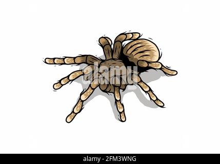 Disegno grafico della linea di disegno del disegno della tarantula Illustrazione Vettoriale