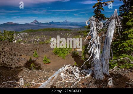 Belknap Lava Field, Three Sisters Wilderness, Mt. Washington, Three Fingled Jack, Mt. Jefferson, Mt. Hood, Volcano Row, Willamette-Deschutes National Foto Stock