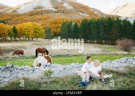 La coppia si siede abbracciando su una coperta sul prato nella foresta autunnale. I cavalli pascolano sullo sfondo Foto Stock