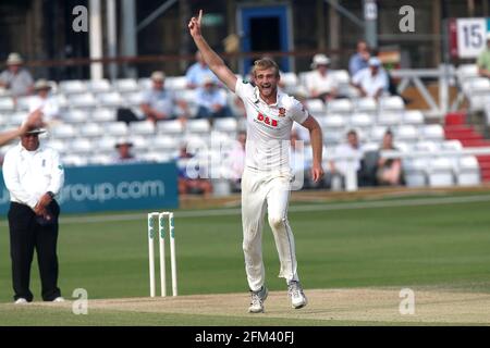 Paul Walter di Essex rivendica il wicket di Ian Westwood durante Essex CCC vs Warwickshire CCC, Specsavers County Championship Division 1 Cricket al Foto Stock