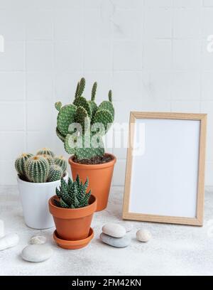 Cactus e pianta succulente in pentole e mock up poster telaio sul tavolo Foto Stock