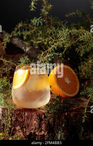 Gin e cocktail tonico con arancia e timo. Una bevanda rinfrescante ghiacciata in un bicchiere surgelato. Foto Stock