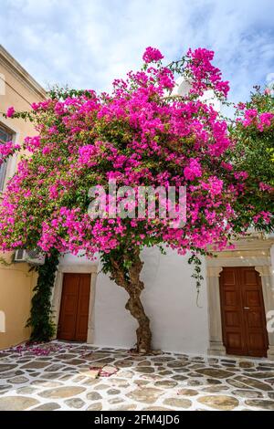 Fiori bouganville fioriti sulla strada nella città di Parikia sull'isola di Paros. CICLADI, Grecia Foto Stock