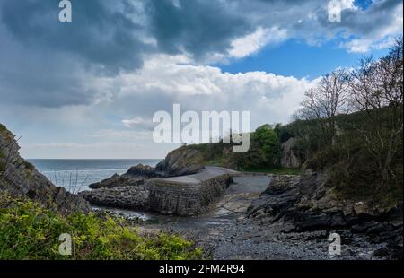 Stackpole Quay vicino a Bosherton, Pembrokeshire, Galles Foto Stock