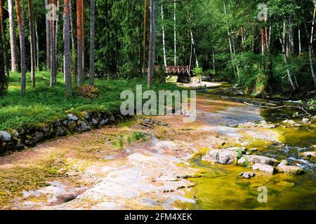 Finlandia, Kotka: Langinkoski rapido sul fiume Kumi. Torrente foresta con un ponte. Foto Stock