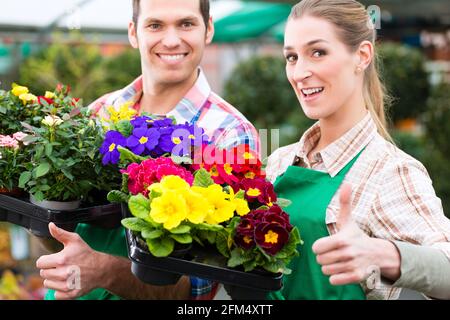 Fioristi o giardinieri in negozio di fiori, serra o vivaio Foto Stock