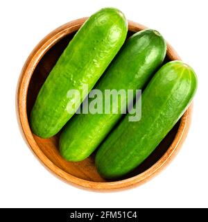 Cetrioli freschi in una ciotola di legno. Gruppo di piccoli, giovani e interi cetrioli, allineati da vicino. Cucumis sativus, una verdura. Foto Stock