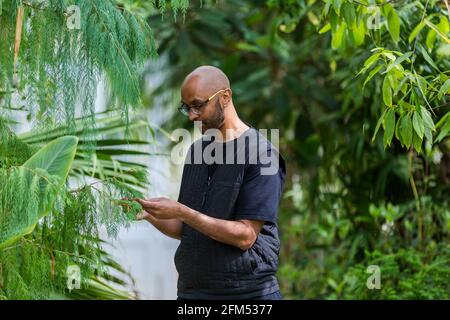 Kew Gardens, Richmond, Regno Unito. 6 maggio 2021. Estate a Kew: Mondo segreto delle piante. Jason Singh, musicista botanico e beatboxer, ha utilizzato la tecnologia dei biodati per registrare i segnali elettrici delle piante, trasformandole in splendide canzoni di sopravvivenza nell'iconica Tempperate House. Credit: amanda Rose/Alamy Live News Foto Stock