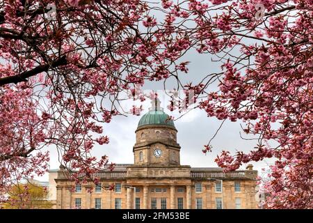 DR GRAYS HOSPITAL ELGIN MORAY SCOZIA CON FIORE DI CILIEGI ROSA PRUNUS L'EDIFICIO INCORNICIATO DA FIORI Foto Stock