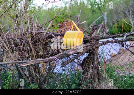 Vecchio secchio d'acqua giallo retrò per irrigazione gettato su recinzioni in un giardino in una soleggiata giornata di primavera nel campagna Foto Stock