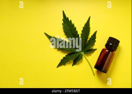 Foglia di cannabis medicinale con olio di marijuana in bottiglia su sfondo giallo chiaro. Foto Stock