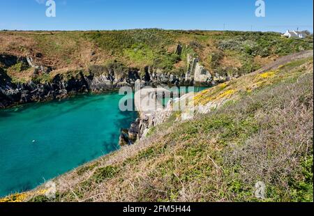 Si avvicina a Porth Clais attraverso il Pembrokeshire Coast Path, vicino a St David's, Pembrokeshire, Galles Foto Stock