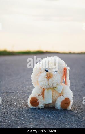 Giocattolo del cane perso seduto da solo sulla strada asfaltata. Foto Stock