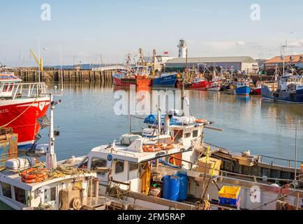 Tre piccole imbarcazioni da pesca caricate con attrezzatura e gabbiani vi si infondono. Sullo sfondo si trovano grandi pescherecci da traino e un faro. Foto Stock