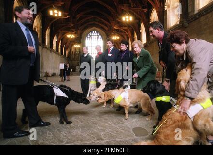 David Blunkett Guida cani per l'Associazione ciechi Marzo 2001Il i cani guida per l'associazione cieca hanno tenuto un ricevimento a. La Camera dei Comuni per celebrare l'introduzione della sezione 37 della legge sulla discriminazione della disabilità 1995 che richiede una licenza Tassisti per portare cani guida nella loro auto David Blunkett MP e segretario di formazione con il suo cane guida Lucy visto qui incontrare alcuni dei membri dell'associazione e loro Cani nella Casa dei Comuni Foto Stock