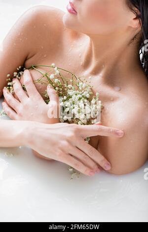 vista tagliata di giovane donna che bagna nel latte con gypsophila fiori Foto Stock