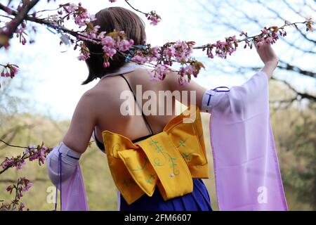 Ragazza in un abito tradizionale giapponese in piedi vicino al fiore sakura albero, vista posteriore. Stagione dei fiori di ciliegio, bellezza e cultura asiatica Foto Stock