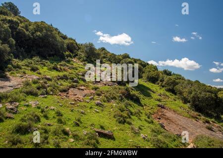 Una vista di una catena montuosa di una foresta verde contro una spettacolare parte posteriore di cielo blu con le nuvole. Concetto di viaggio escursionismo. Una sella tra le montagne, sella topografica, Nord Distretto Israele. Foto Stock