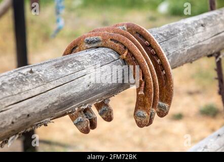 Ferro di cavallo arrugginito, Grant-Kohrs Ranch National Historic Site, Deer Lodge, Montana, Stati Uniti Foto Stock