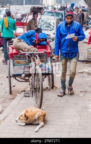 DELHI, INDIA - 24 GENNAIO 2017: Ciclone risciò conducente dorme su una strada a Delhi. Foto Stock