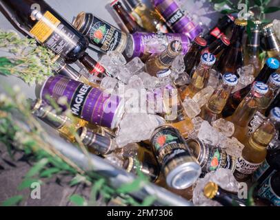 Birra, vino e sidro in una scatola di ghiaccio all'aperto durante una festa Foto Stock