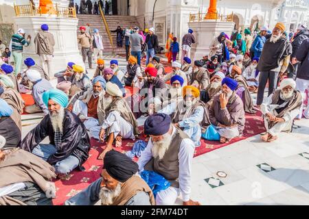 AMRITSAR, INDIA - 26 GENNAIO 2017: Devoti di Sikh nel Tempio d'oro Harmandir Sahib ad Amritsar, Punjab, India Foto Stock