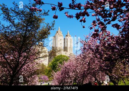 L'Eldorado con la primavera in Central Park è bella, New York City, Stati Uniti Foto Stock