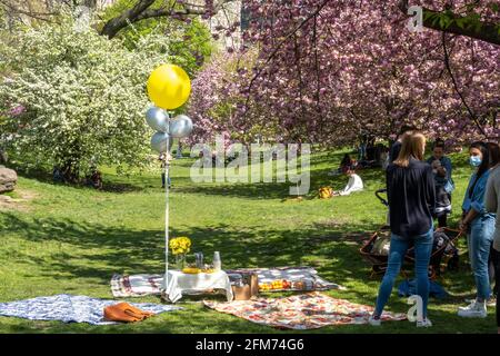 Central Park è vibrante quando i Kwanzan Cherry Trees sono a Bloom, 2021 Springtime, New York, Stati Uniti Foto Stock
