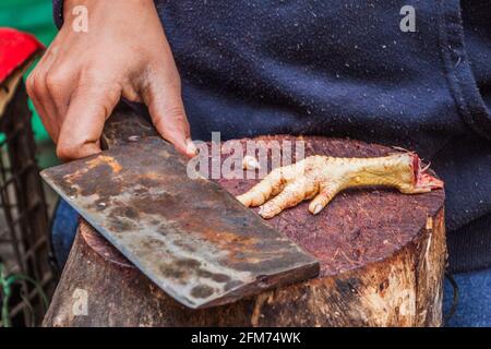 Dettaglio di un macellaio che taglia il pollo a Lucknow, Stato di Uttar Pradesh, India Foto Stock