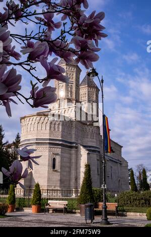 Monastero dei tre Gerarchi con fiori in primo piano, Iasi, Romania Foto Stock