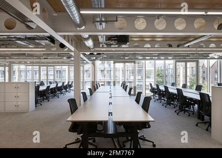 Interno dell'ufficio. Story Orsman Road, Londra, Regno Unito. Architetto: Waugh Thistleton Architects, 2021. Foto Stock