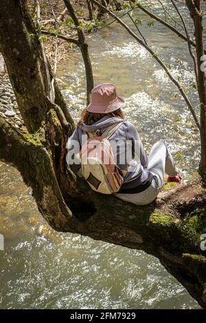 Ragazza avventuriera in outfit sportivo casual seduta sull'albero Alto sopra il fiume Foto Stock