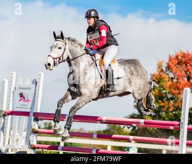 Cavallo grigio mela con cavaliere equestre che passa sopra cacciatore di recinzioni concorso di jumper Foto Stock