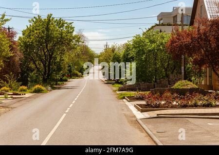 Strada di campagna che attraversa il vicolo degli alberi. Giorno di sole, case del centro. Strada che porta alla città Foto Stock