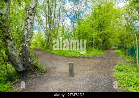 Carr Mill Dam è una zona incredibilmente bella con facili collegamenti di viaggio tra Liverpool e Manchester situate a St Helens. Non solo il più grande entroterra Foto Stock