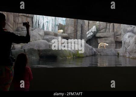 Madre e figlia che guardano gli orsi polari nello zoo di Hagenbeck a Hamburgh Foto Stock