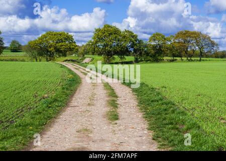 Carr Mill Dam è una zona incredibilmente bella con facili collegamenti di viaggio tra Liverpool e Manchester situate a St Helens. Non solo il più grande entroterra Foto Stock