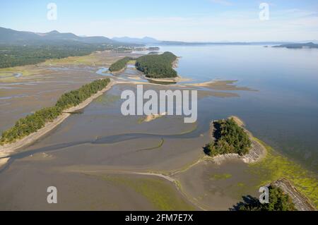 Fotografia aerea delle Shoal Islands, l'estuario del fiume Chemainus, British Columbia, Canada. Foto Stock