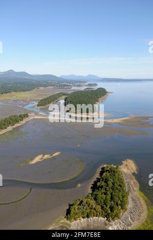 Shoal Islands, Chemainus River Estuary, Chemainus Valley, British Columbia, Canada. Foto Stock