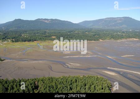 Fotografia aerea di fanghi nel Chemainus River Estuary, Chemainus Valley, Vancouver Island, British Columbia, Canada. Foto Stock