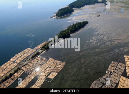 I bracci di tronchi immagazzinati nelle isole Shoal, l'estuario del fiume Chemainus, la valle di Chemainus. Fotografia aerea dell'isola di Vancouver, British Columbia, Canada. Foto Stock