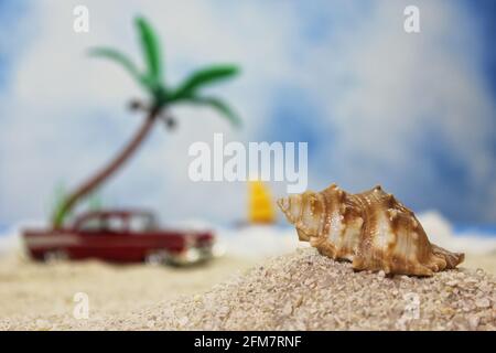 Seashell sulla spiaggia tropicale con verga calda d'epoca in background Foto Stock