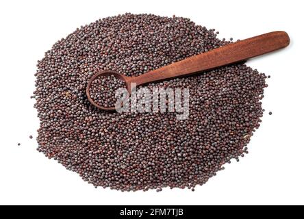 Cucchiaio di legno su pila di senape nera (Brassica nigra) semi su sfondo bianco Foto Stock